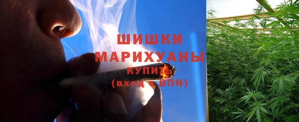молекула духа Инсар
