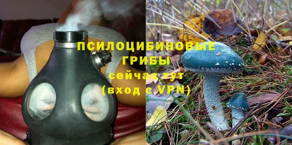 марки lsd Каменка