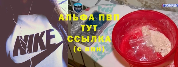 прущие крисы Инта