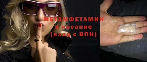 шишки Дмитровск