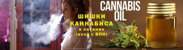 молекула духа Каменск-Шахтинский