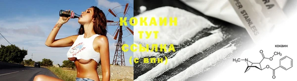молекула духа Инсар