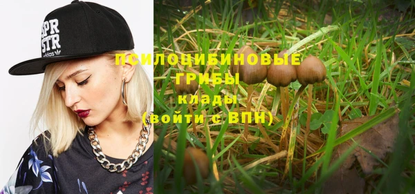 молекула духа Каменск-Шахтинский