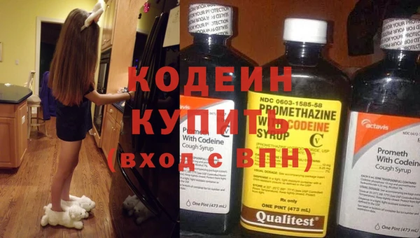 молекула духа Инсар