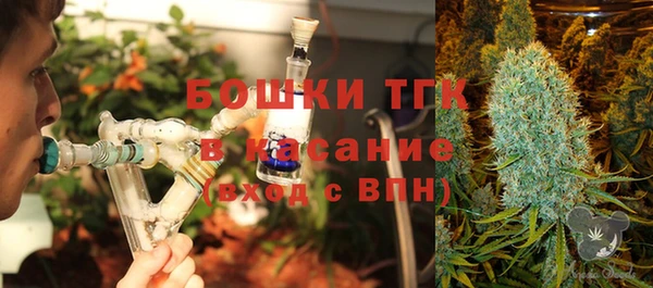 молекула духа Каменск-Шахтинский