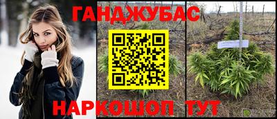 СК Дубна