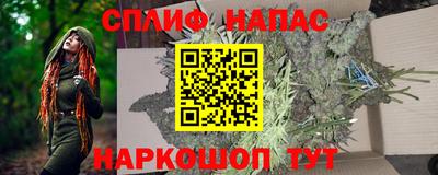 СК Дубна