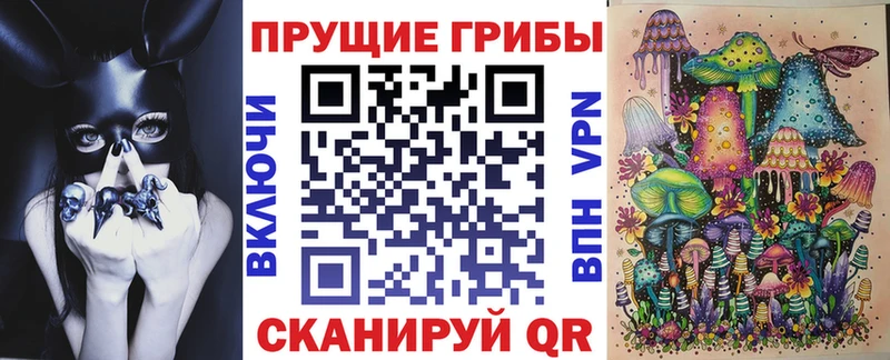 mega рабочий сайт  Черногорск  Галлюциногенные грибы MAGIC MUSHROOMS 