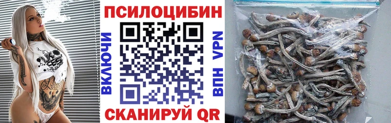 Псилоцибиновые грибы Psilocybe Черногорск