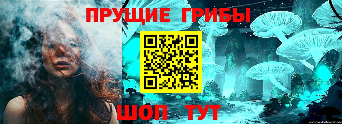 Черногорск  Галлюциногенные грибы ЛСД  магазин продажи   Вход с VPN  Галлюциногенные грибы Psilocybine cubensis 