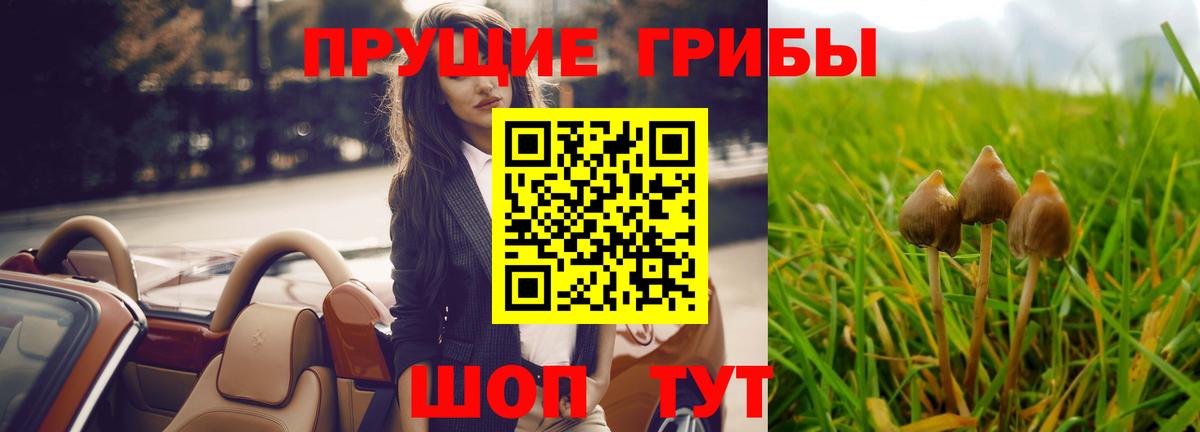 Псилоцибиновые грибы ЛСД Черногорск