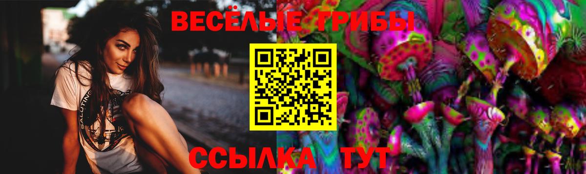 Галлюциногенные грибы GOLDEN TEACHER  Черногорск 